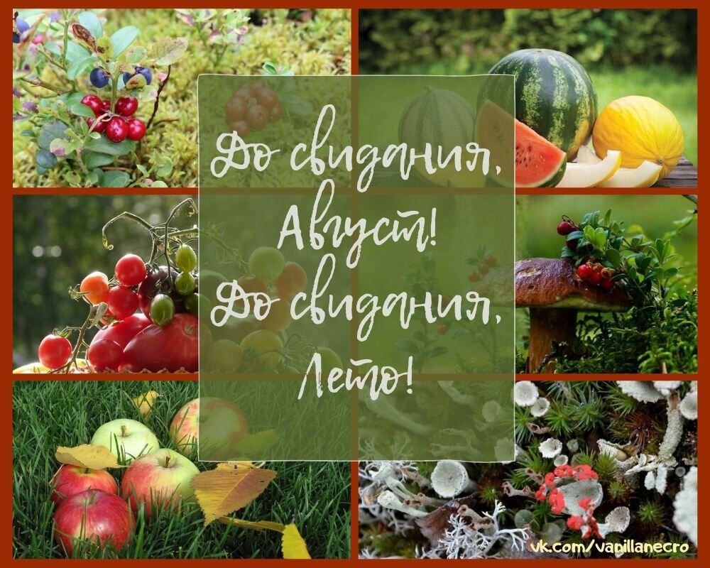 План до свидания лето