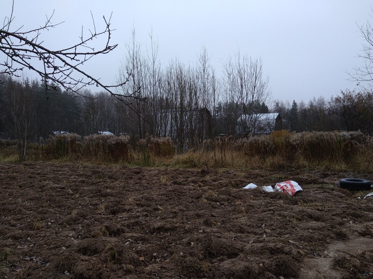 Вид на участок до