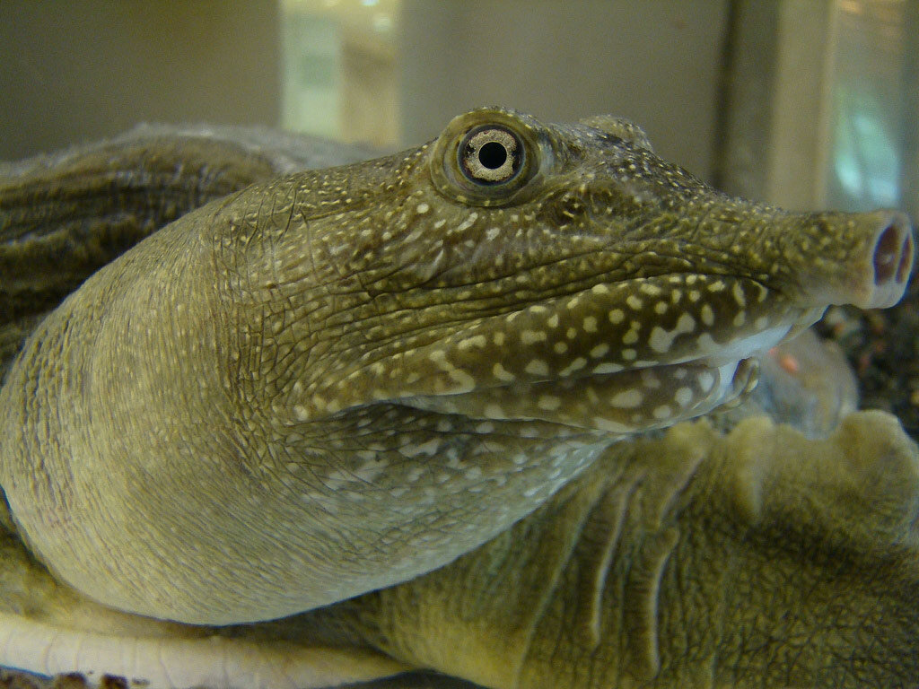 Источник: yandex.ru