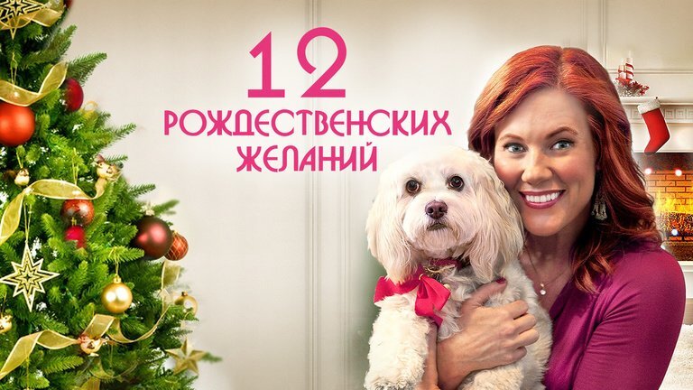 Кадр из фильма "12 рождественских желаний!". 