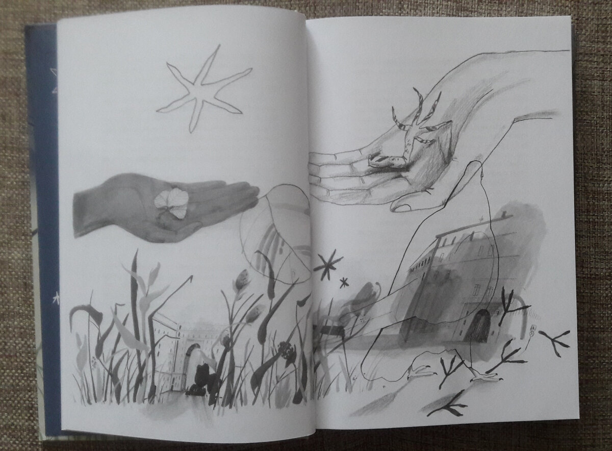 "Девочки-колдуньи", иллюстрации Анны Воронцовой