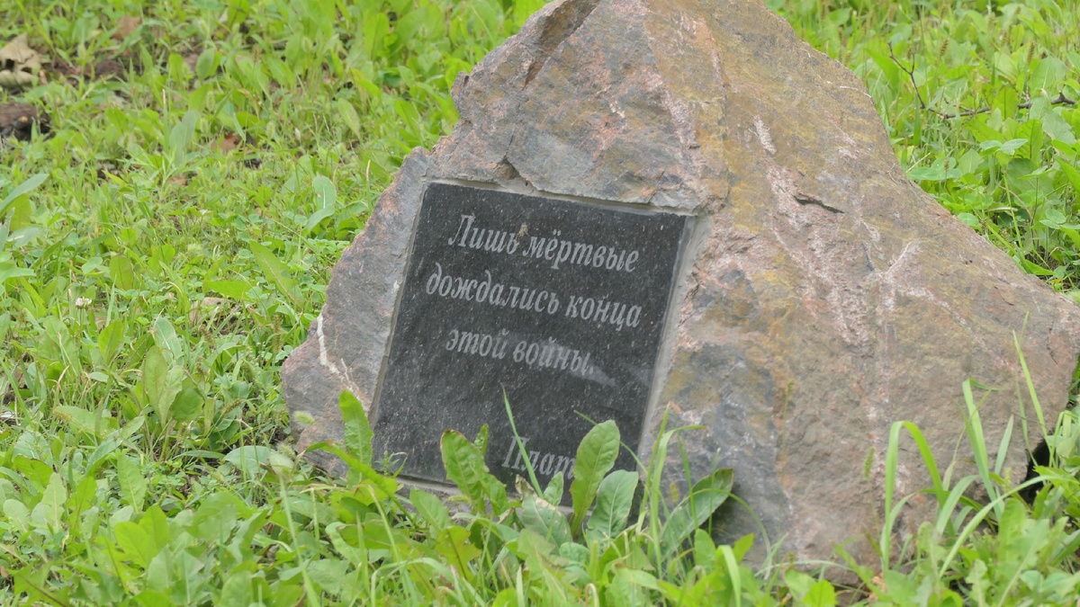 f 6.3  iso-400  1\80с  265мм. 