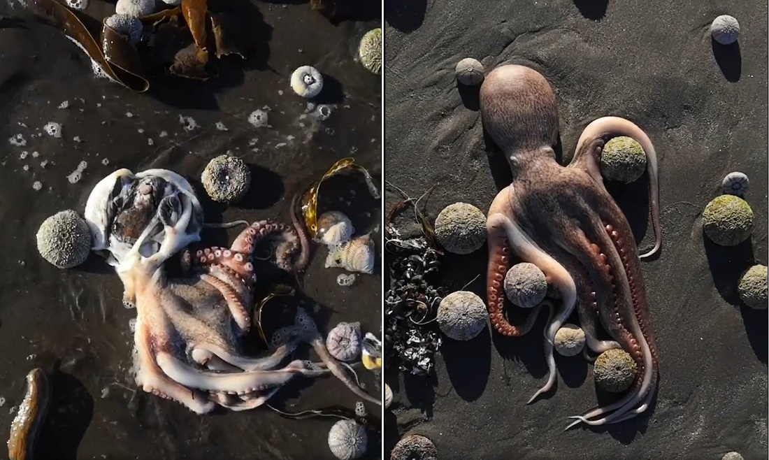 Кадры из видео kristy_rozenberg 