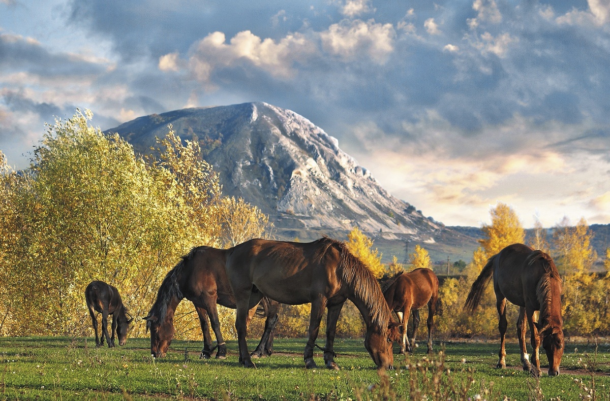 Гора «Торатау»