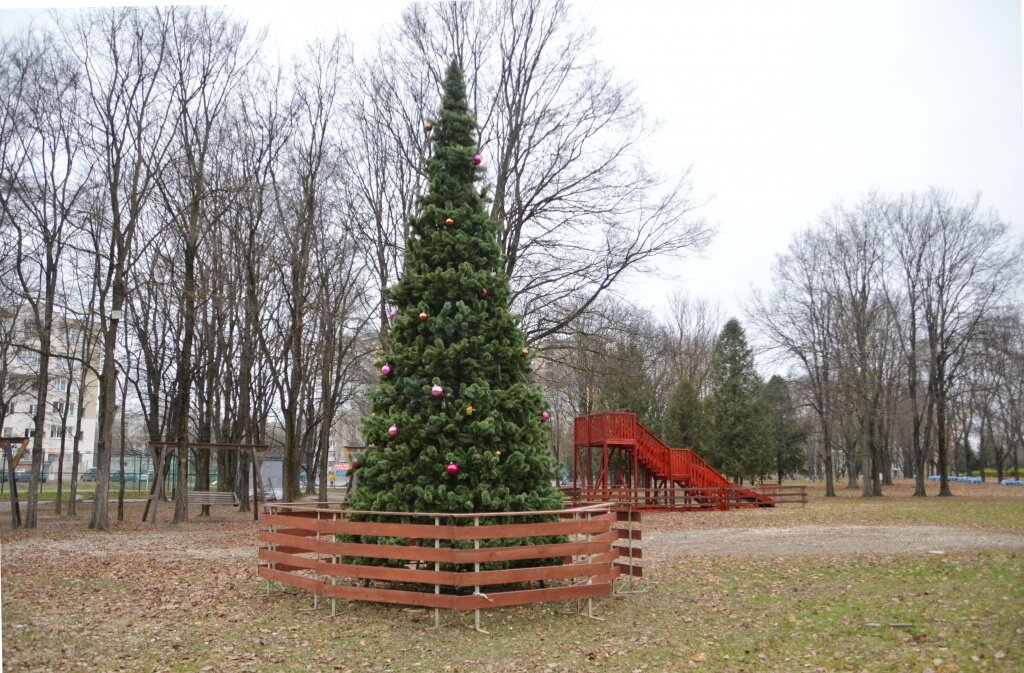 В Твери украшают город к Новому году. Первую ёлку уже постаивили в парке Победы