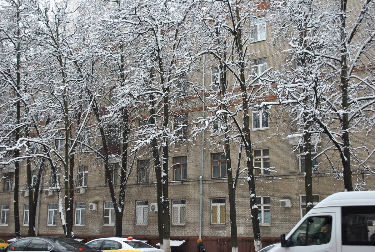 Городская поликлиника 22 москва. Снежная 22 москва. Ул снежная 22. 22. Поликлиника 107 филиал 1 снежная ул 22.
