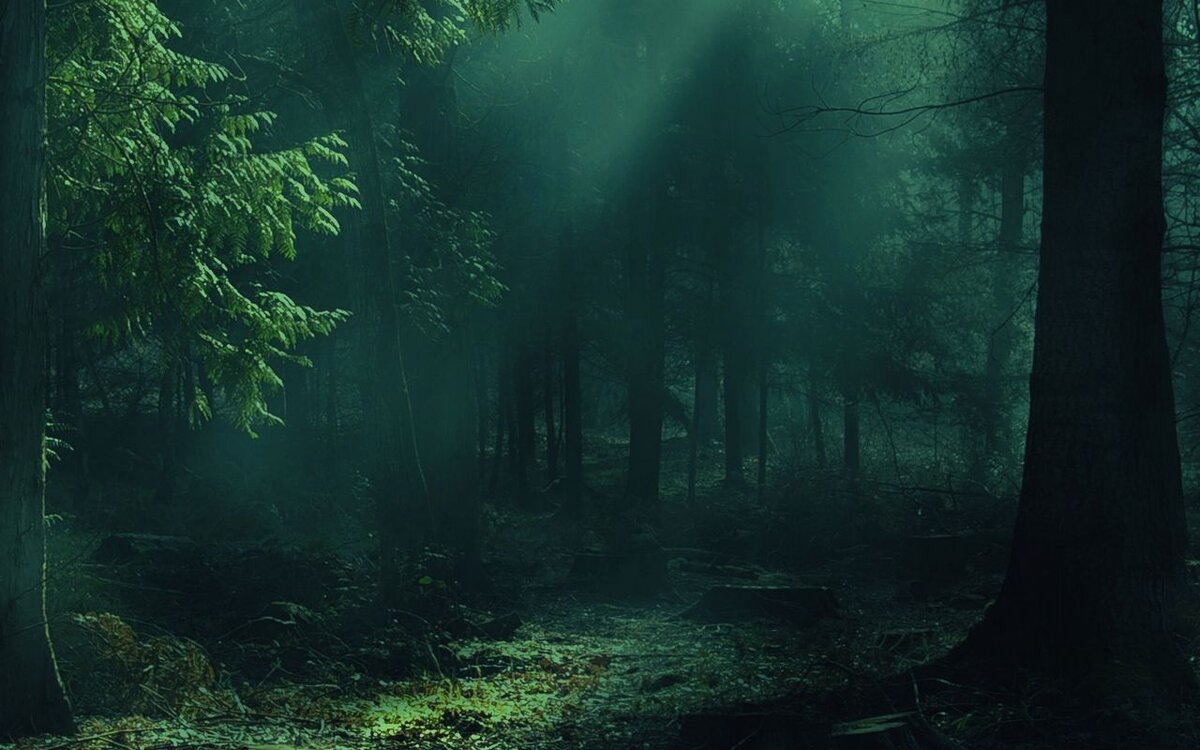 Ссылка на автора Арта ниже.