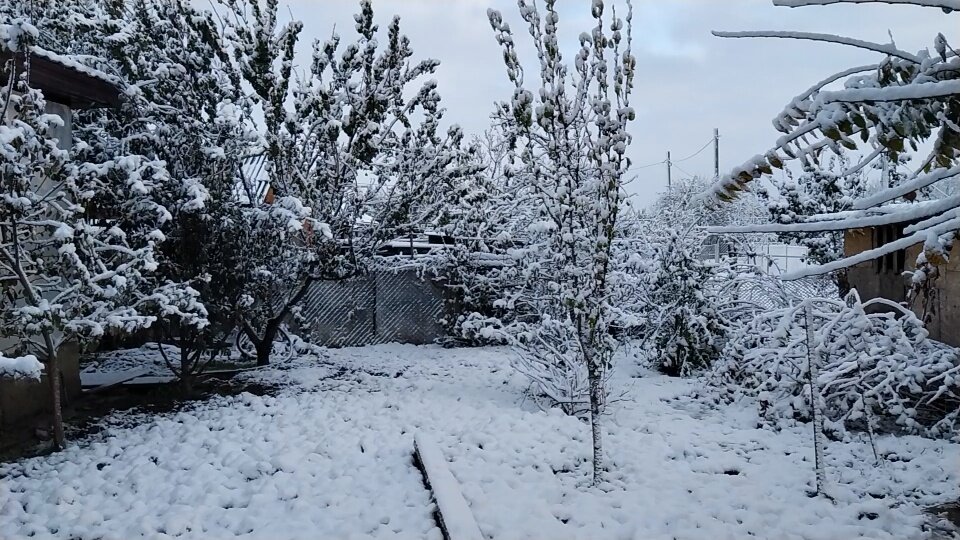 В крае выпал снег. Успенский район Краснодарский край в снег. Когда в Краснодарском крае выпадет 1 снег. Успенский район Краснодарский край в снег красивое фото.