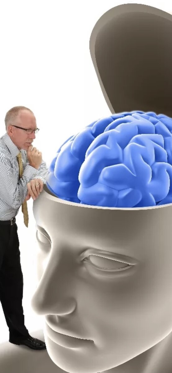 «А воры здесь тихие..» или  мозг плебея

А ведь если у тебя есть мозги , ты просто обязан их использовать !
Давайте попробуем.
Правда Достоевский сказал , что для того , чтобы умно поступать умному человеку , одного ума мало .
Вероятно , имелась ввиду вера, воспитание , общество и , может быть , даже информационная осведомленность .
Добавляем. 
Трещит хребет нашей цивилизации . Такой любимой и родной . Цивилизации, где была своя история и свои представления , как жить . Где был свой голос и своя страна , своя идеология и своя семья , свой народ и своя культура.Вера , в конце концов , и гордость .
На смену пришла уже сформированная новая глобальная постцивилизация . Она состоит из транснациональных корпораций, цифровых медиагигантов, глобальных торговых и финансовых сетей и их обслуги. Весь этот верхний правящий класс владельцев всего — лишь несколько процентов населения. А внизу — плебеи, которым не оставят ничего: ни своей страны, ни национальности, ни своей истории, ни своей культуры, даже своего пола, даже своего языка не оставят «нижней массе». И никакой свободы слова и совести, никакого оружия, никакого права на самозащиту, никакого права на протест — только в поддержку господствующей идеологии. Ты — никто, одинокий безродный плебей. Мировой олигархический сговор наверху — и управляемый им бедный уравнительный социализм внизу. Глобальный тоталитаризм придвинулся к нам вплотную.
Вот так , «под шумок» , видимо , пока мы смотрели телевизор , у нас и наших детей украли жизнь и желание использовать мозги . Если , конечно , есть что использовать .
Так и хочется снять фильм 
« А воры здесь тихие ..»