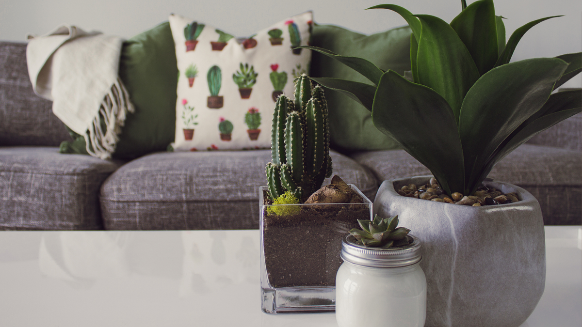 Изображение: Canva