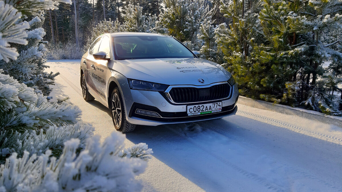 Skoda Superb Winter Forest