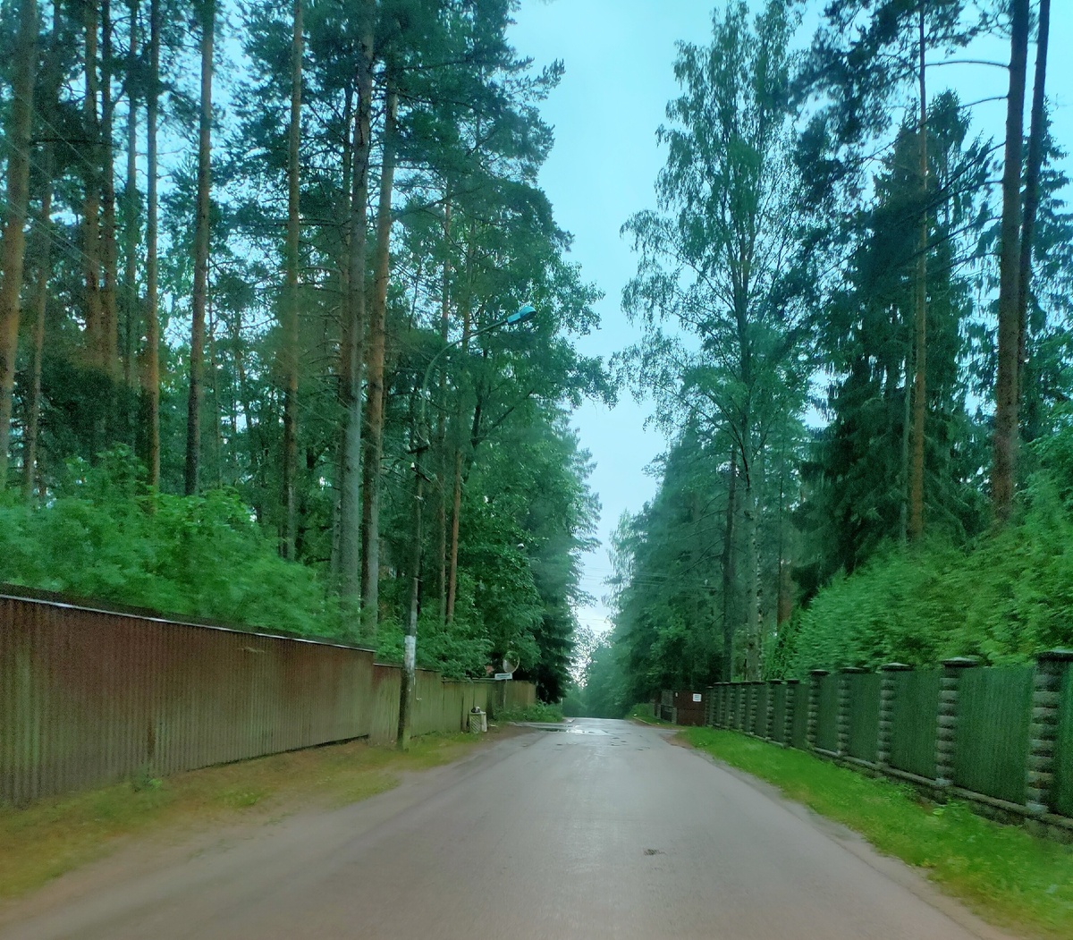 Комарово, дорога близ Финского залива. Фото Артюхов Д.