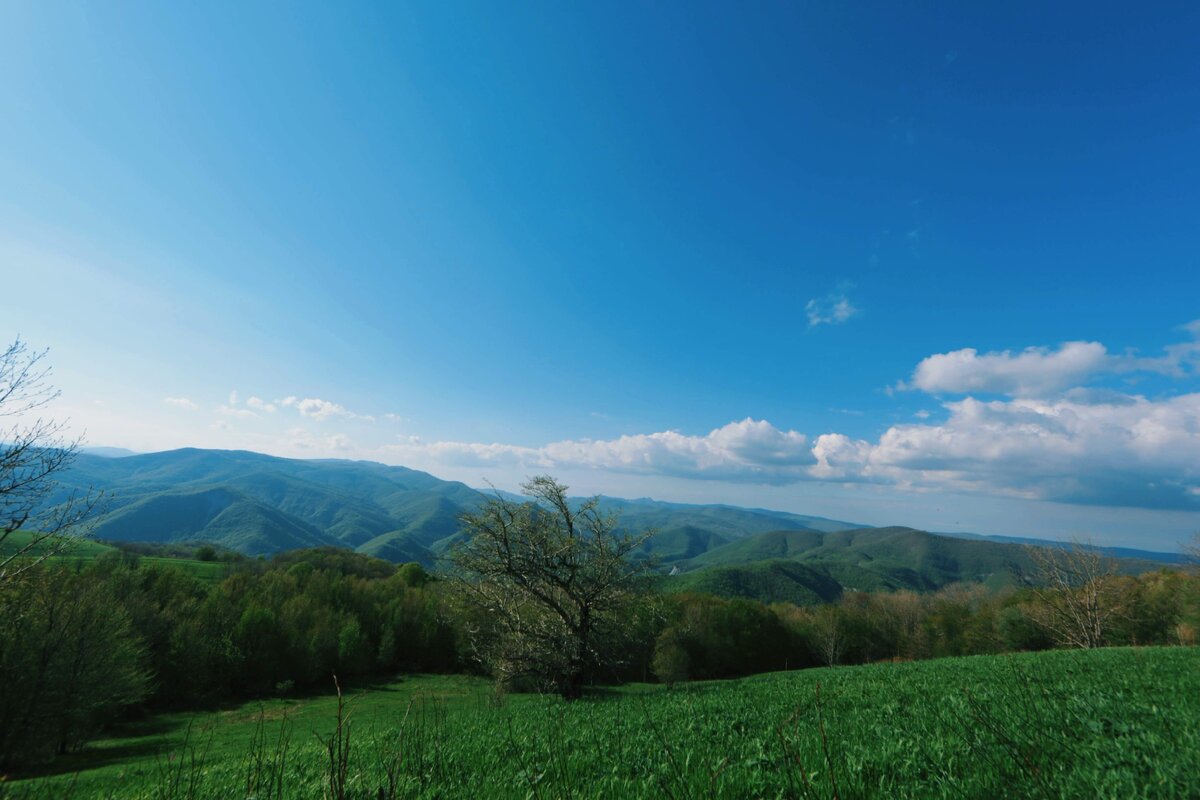 Краснодарский край, гора Облего. 