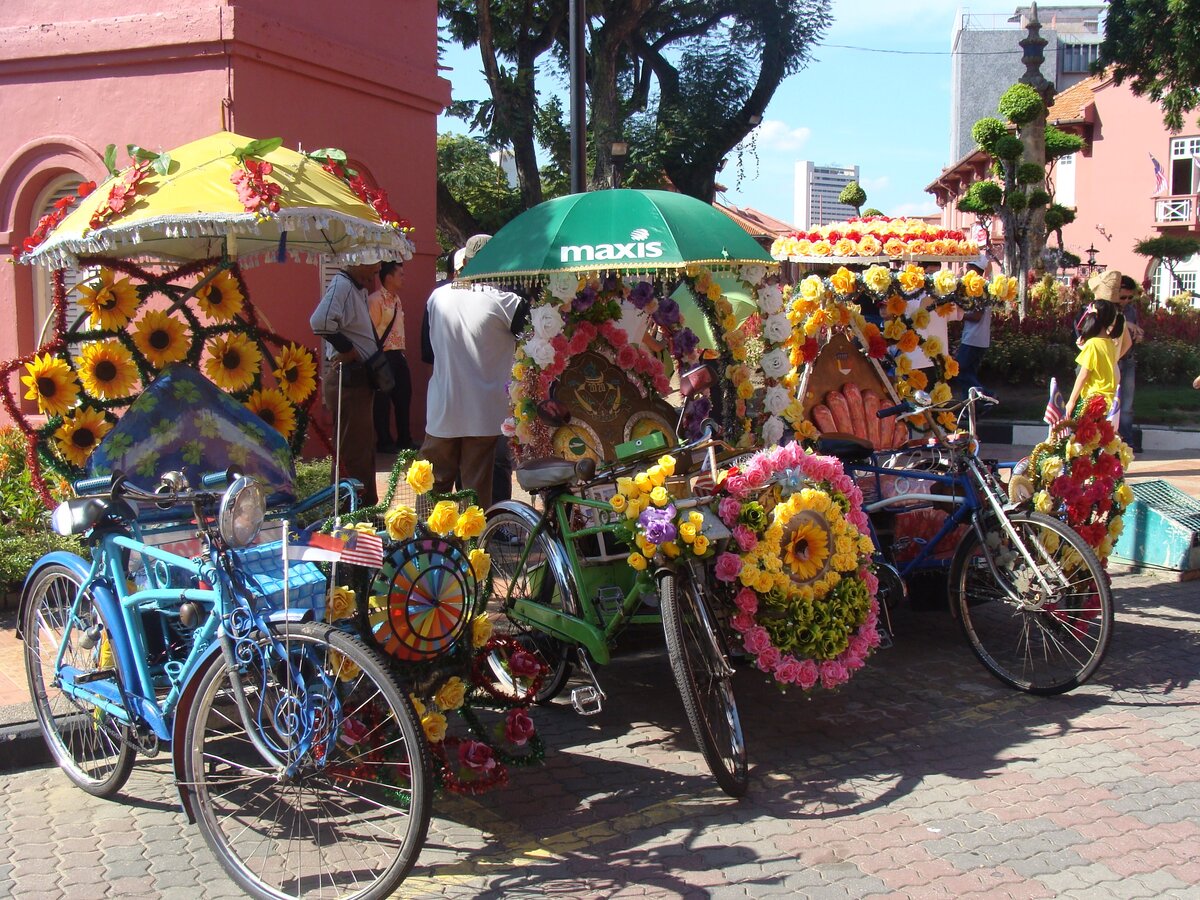 Ну просто один другого краше! 