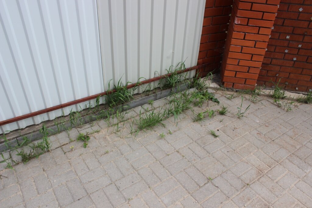 Тут необходим покос.