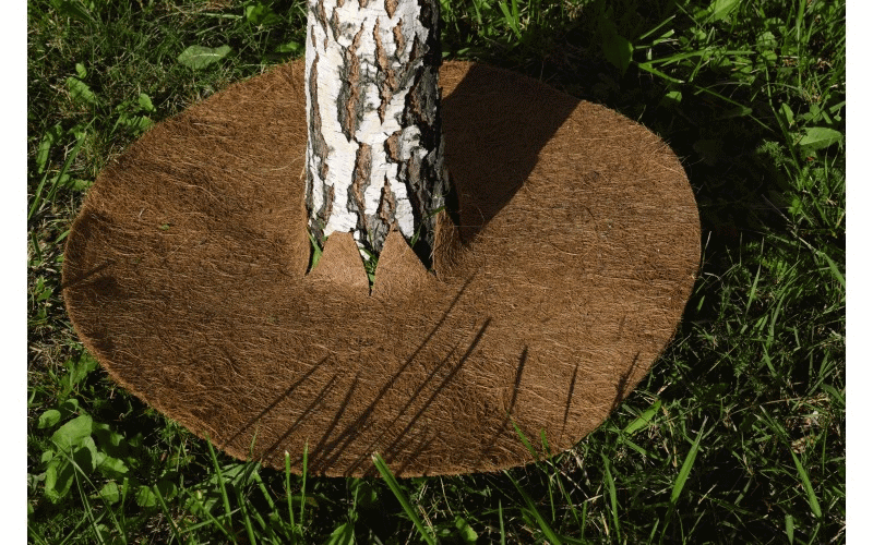 Фотография взята из открытых источников Яндекс, на авторство не претендую)