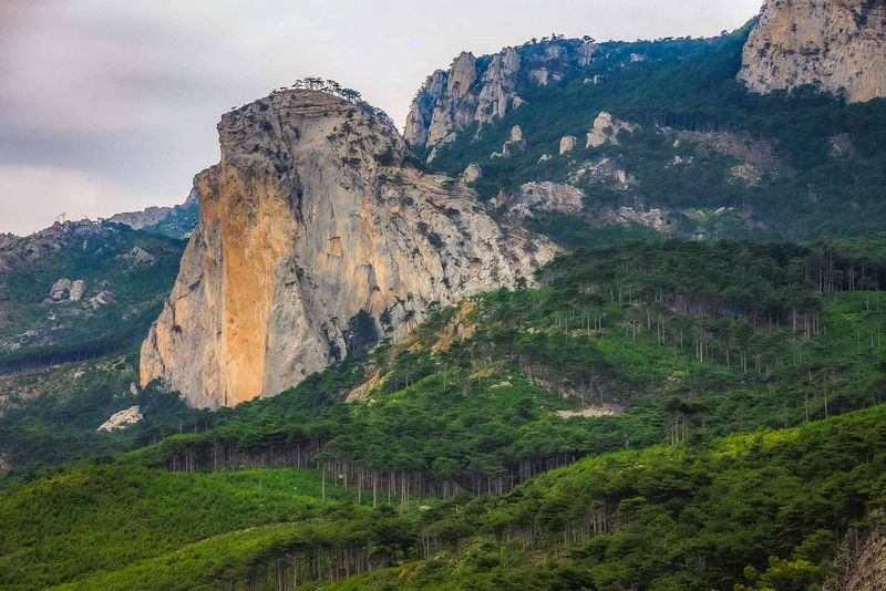 Фото: zapovedcrimea.ru