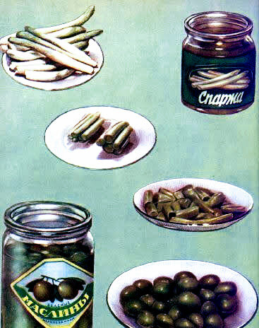 иллюстрация из той самой книги