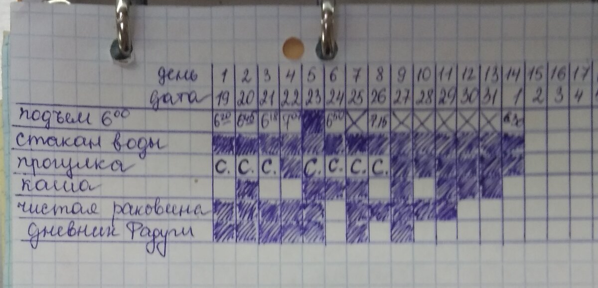 Трекер моей стодневки. Фото автора