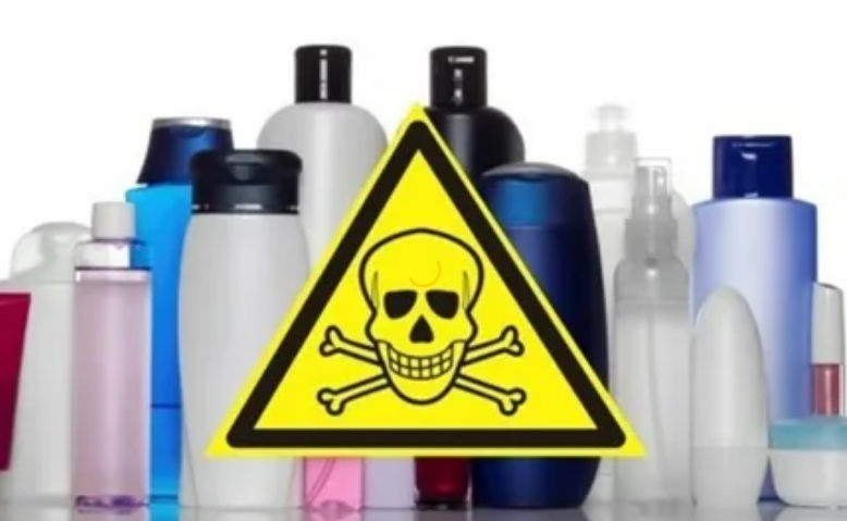 Фотография взята из источника yandex.ru