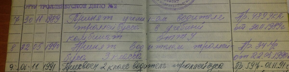 Трудовая биография