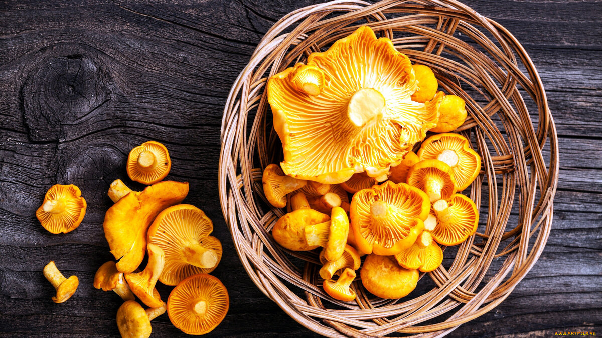  Источник изображения: Яндекс картинки