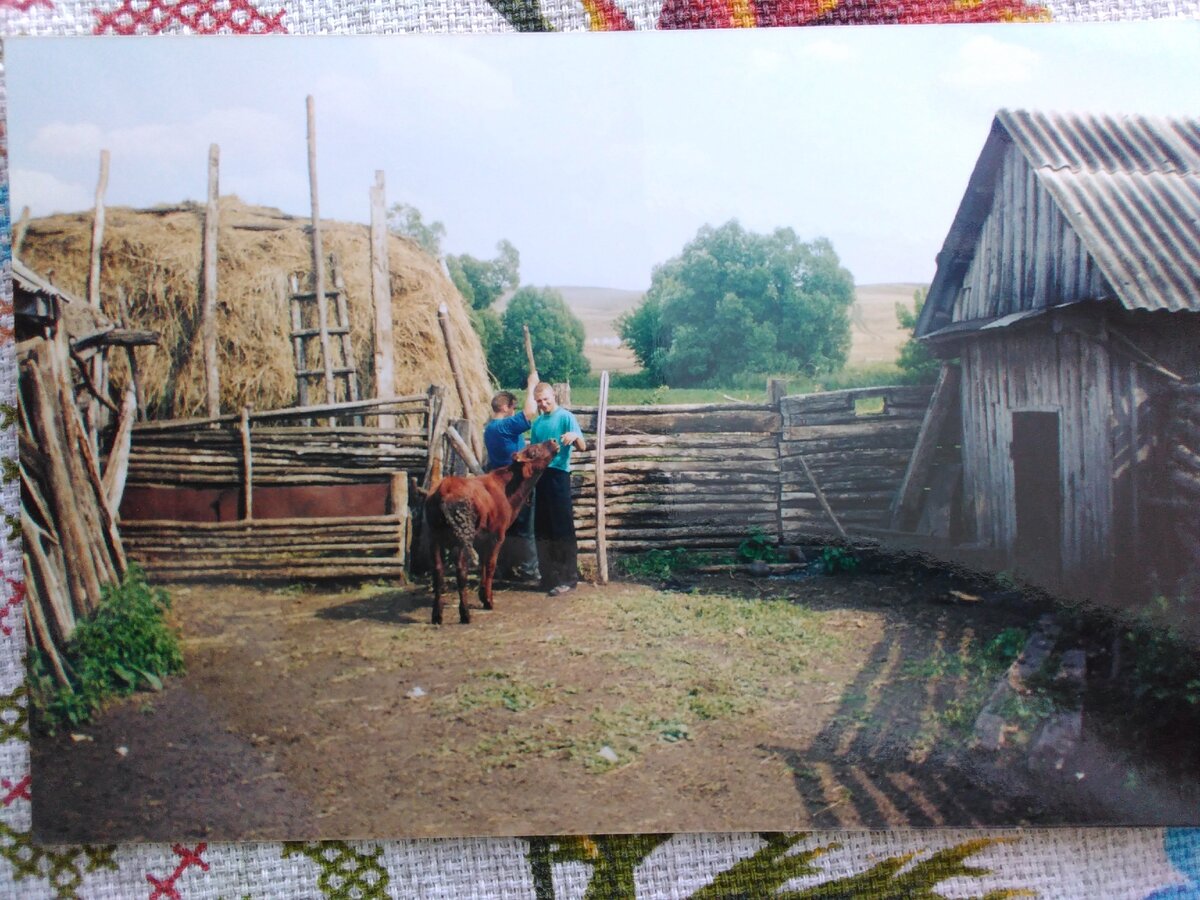 Посёлок Иркуль.( Оренбургская область Северный район)