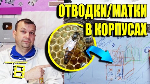 ПРОСТОЙ СПОСОБ СДЕЛАТЬ ОТВОДОК ПЧЕЛ И ВЫВЕСТИ ПЧЕЛИНЫХ МАТОК ДЛЯ НАЧИНАЮЩИХ ПЧЕЛОВОДОВ ЛЮБИТЕЛЕЙ