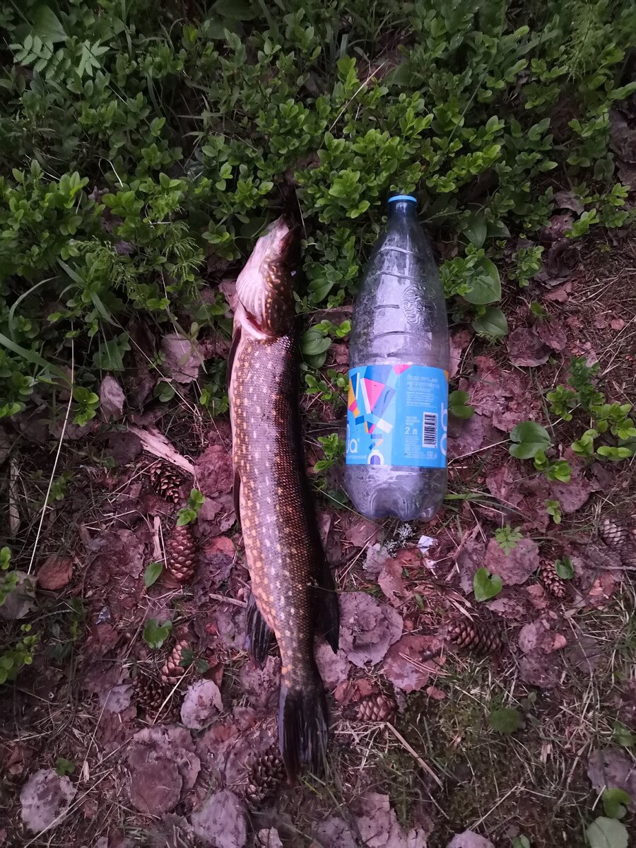 Когда первый раз пытался вытащить, казалась больше.