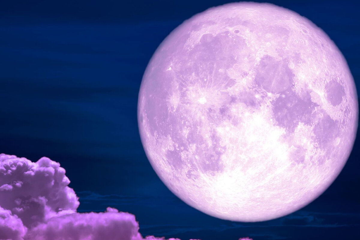 Розовое полнолуние 2024. Розовая Луна. Фиолетовая Луна. Сиреневая Луна. Рощовая Луня.