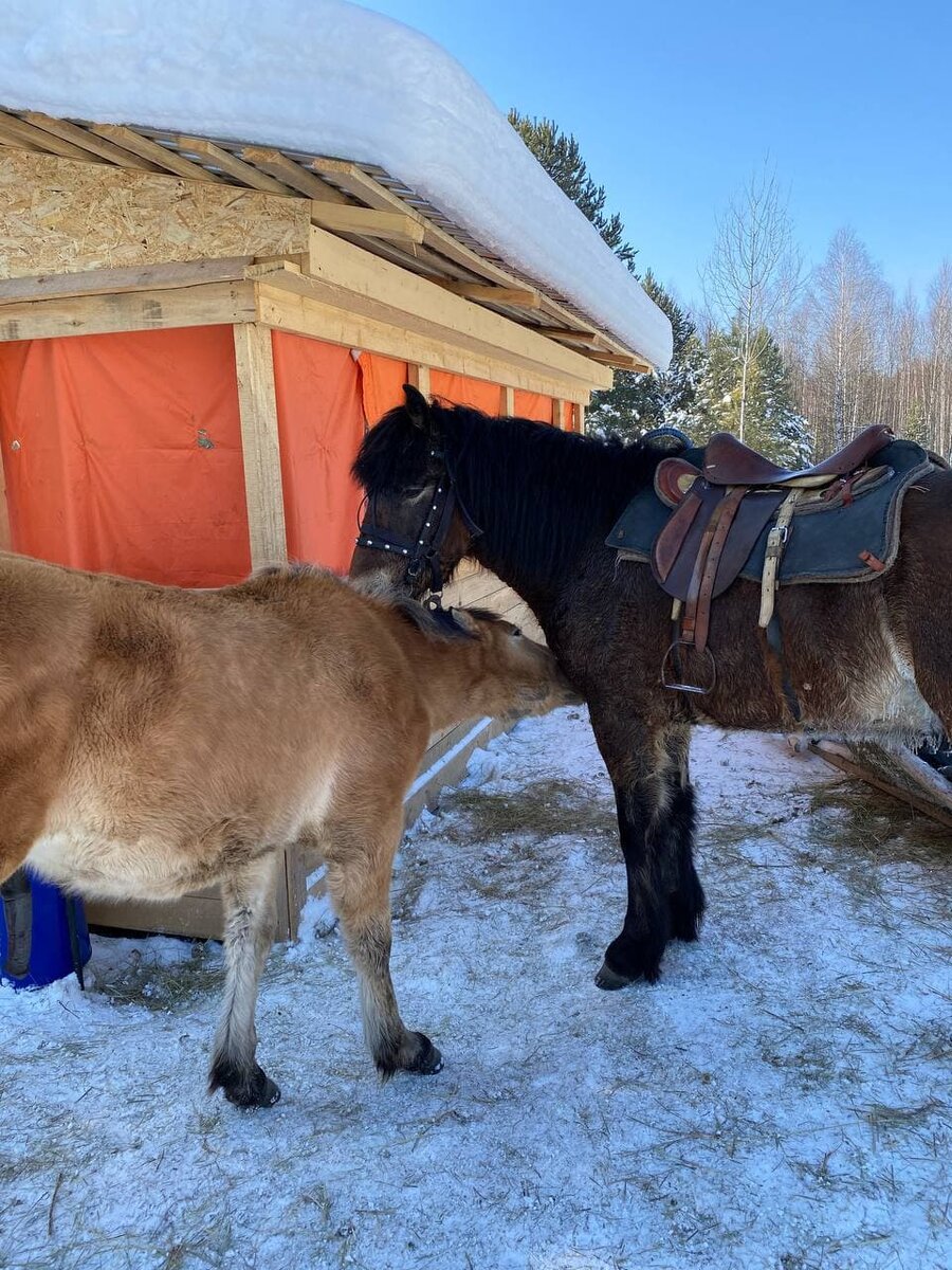 Мама и малыш.