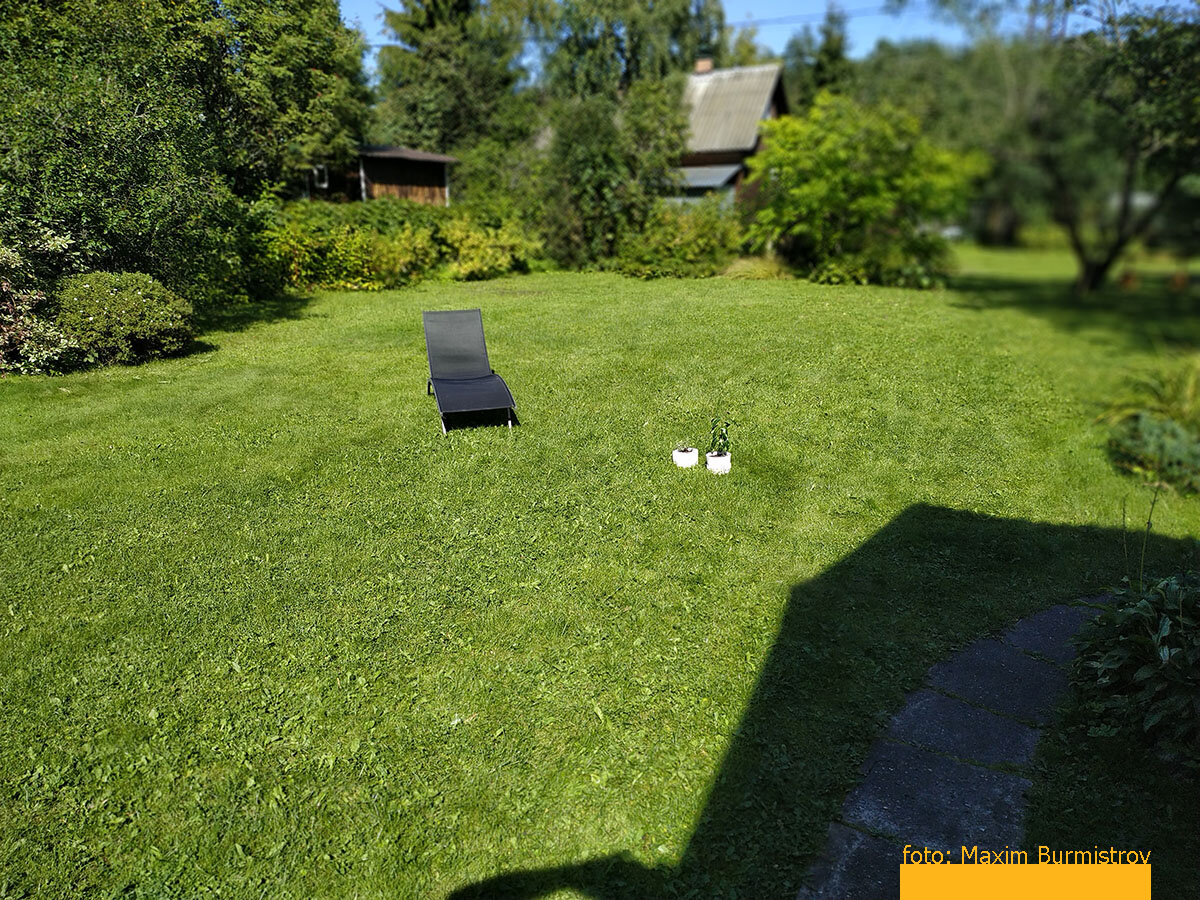 Идиллическая пастораль великолепной «английской» лужайки перед домом: именно сюда можно и нужно затащить неимоверное количество паллет с блоками.