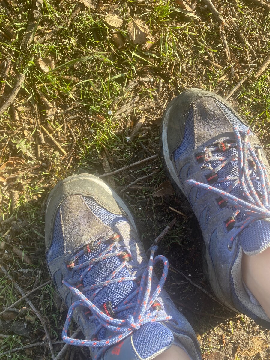 зелень под Ростовом