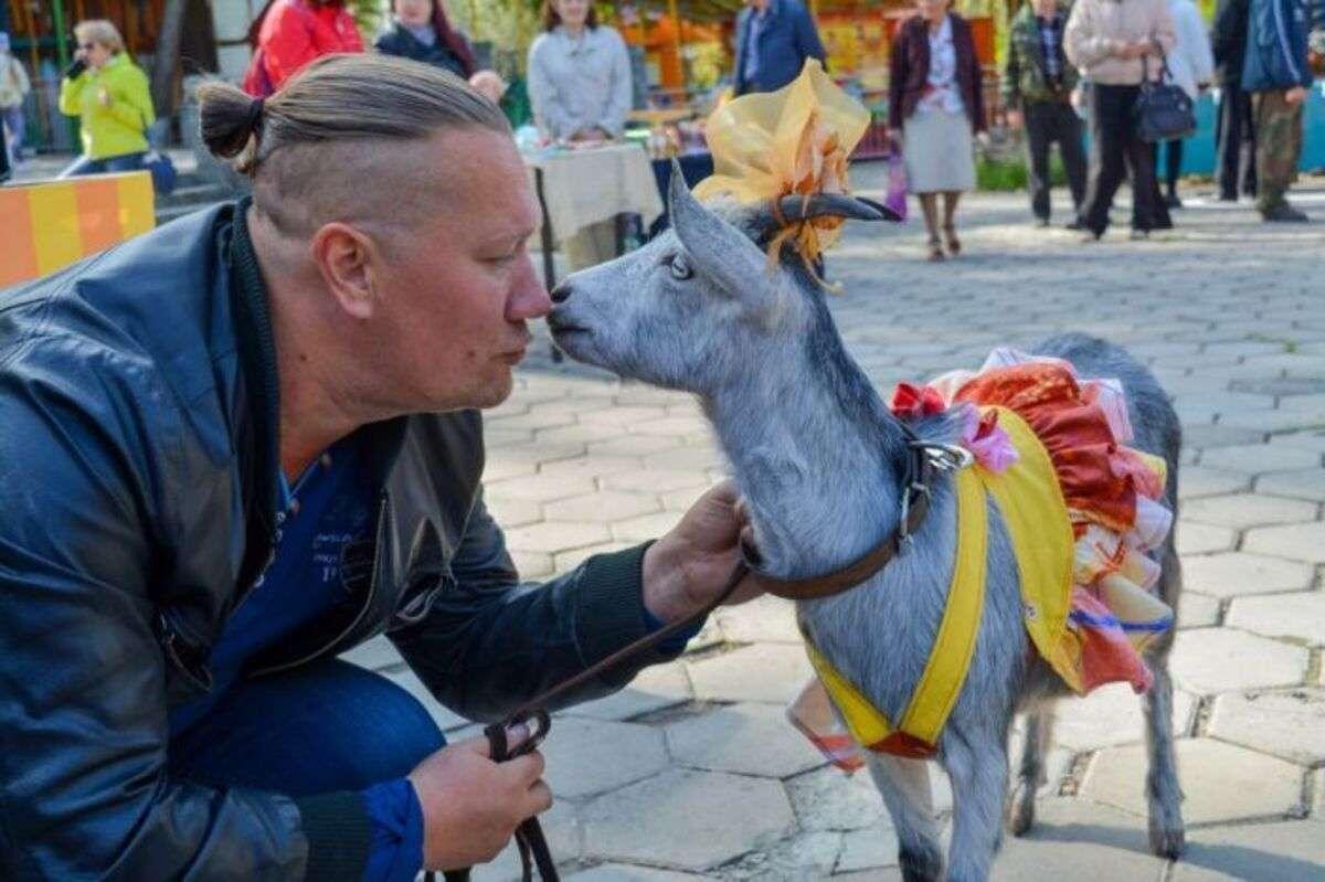 На празднике День козы в Барнауле, 2017 год