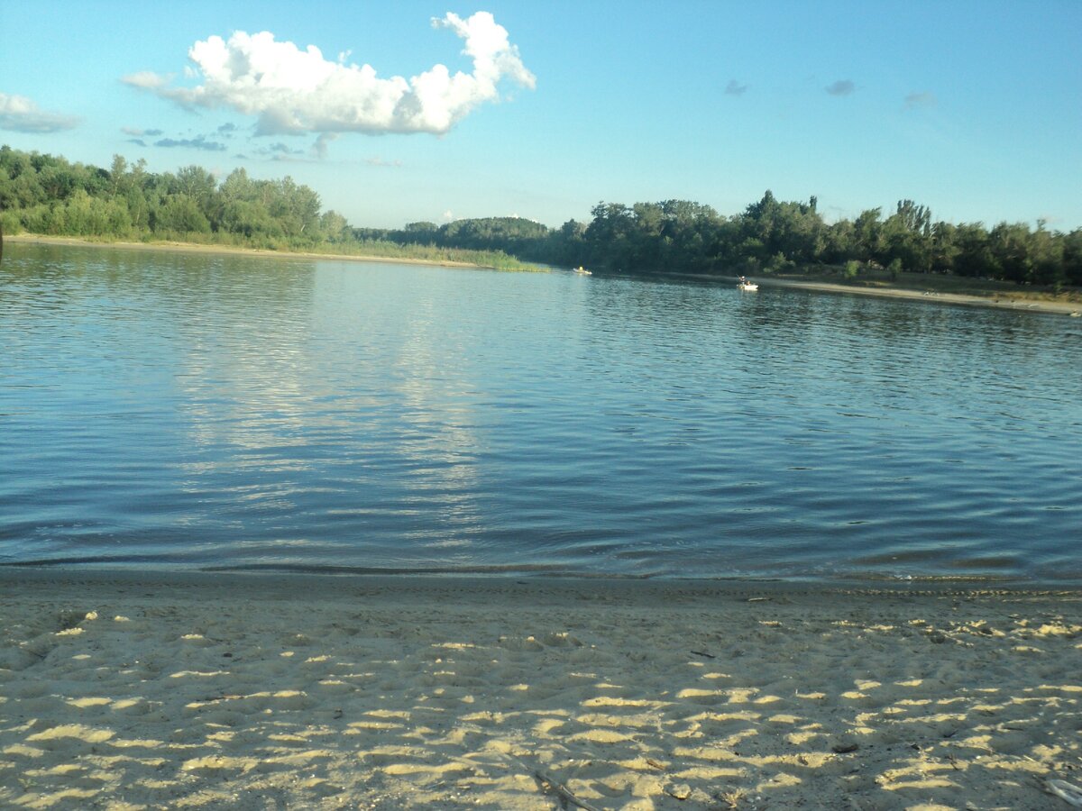 Река Дон в Раздорской, фото автора