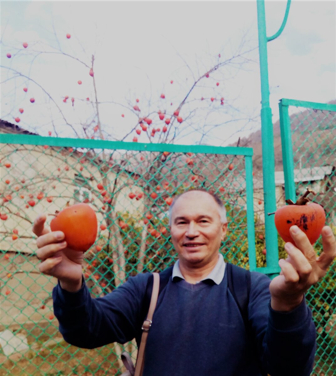 (Вот такая хурма! Прямо с дерева.)