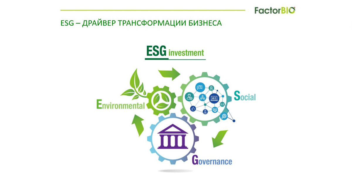 ESG ООН. ESG 17 принципов ООН. ESG принципы. ESG цели ООН. Оон идее
