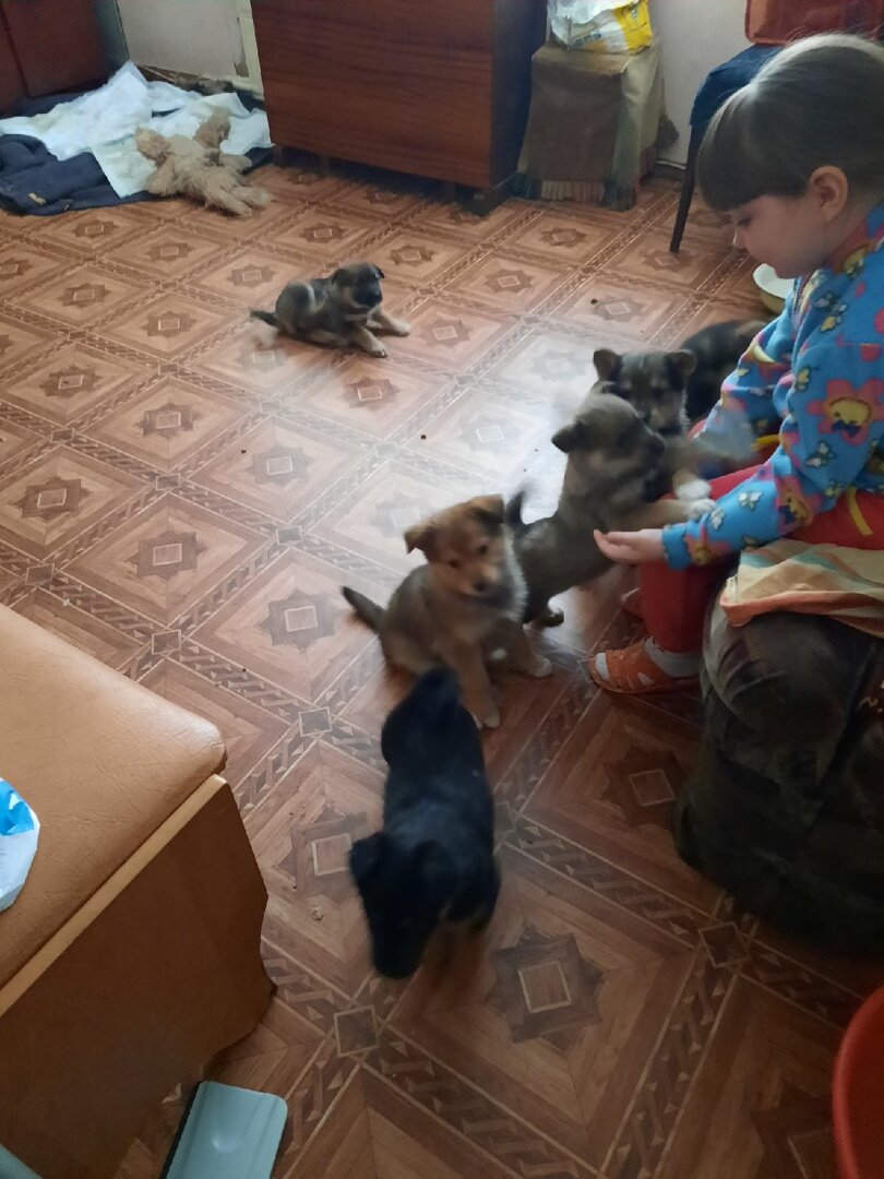 дома у бабушки. Фото автора.