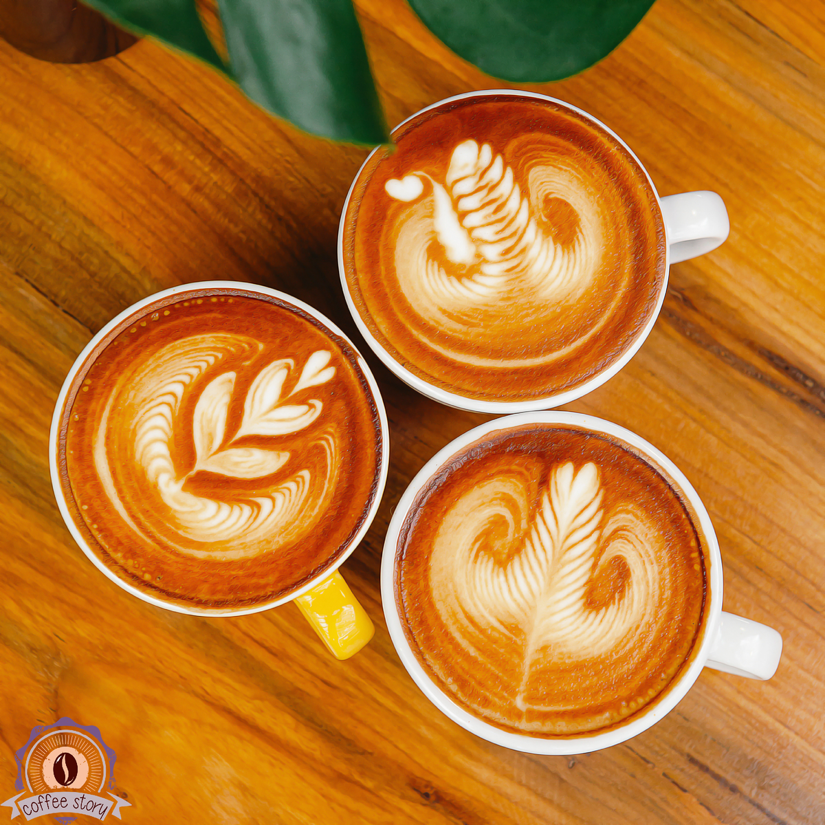 Виды латте-арта