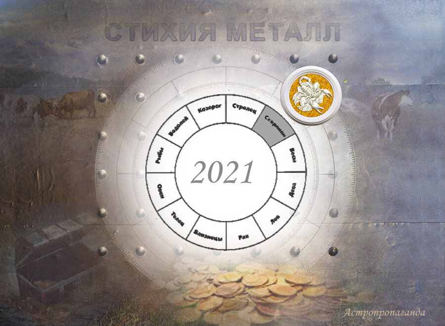 Коллаж Нины Стрелковой.