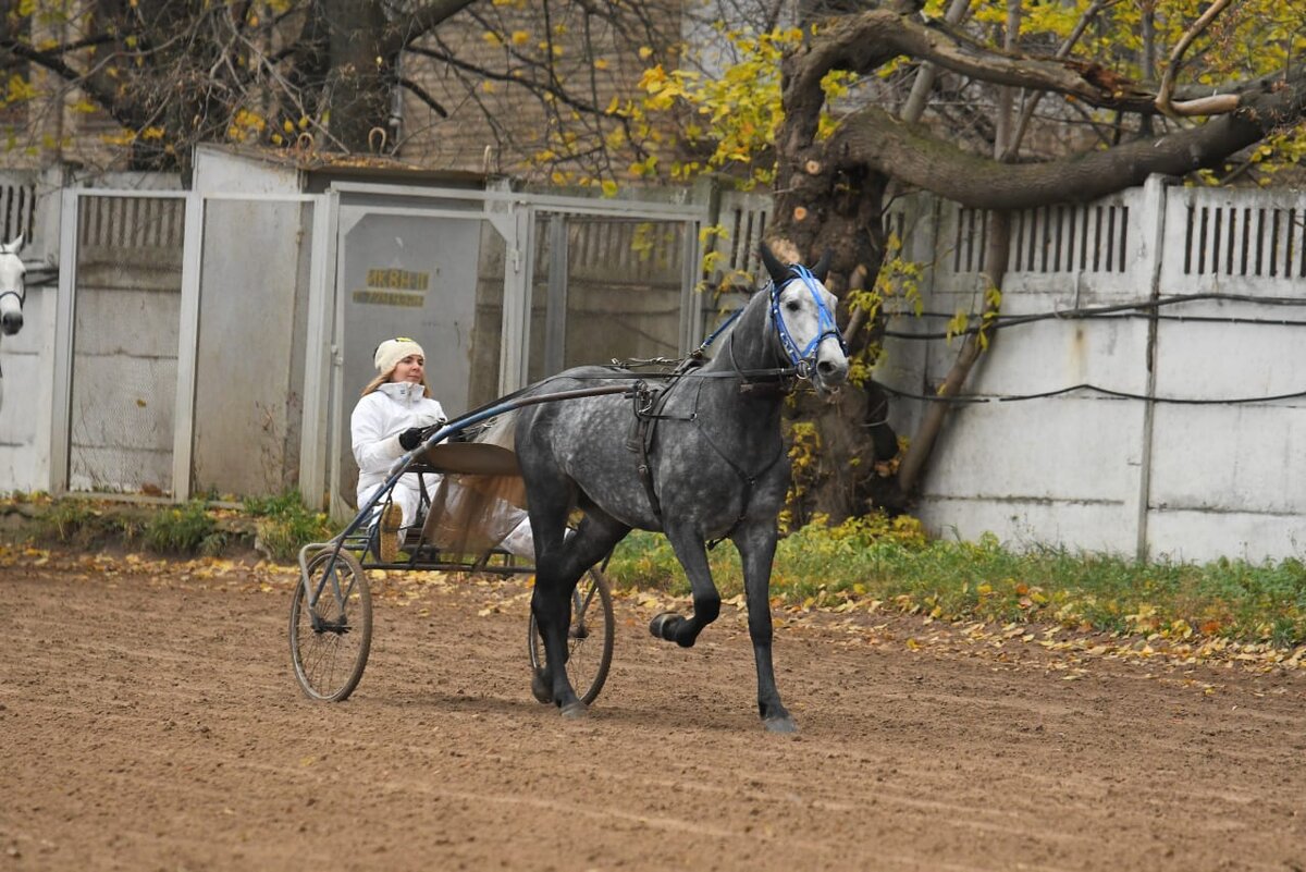 Кларнет (Люблин-Кения)