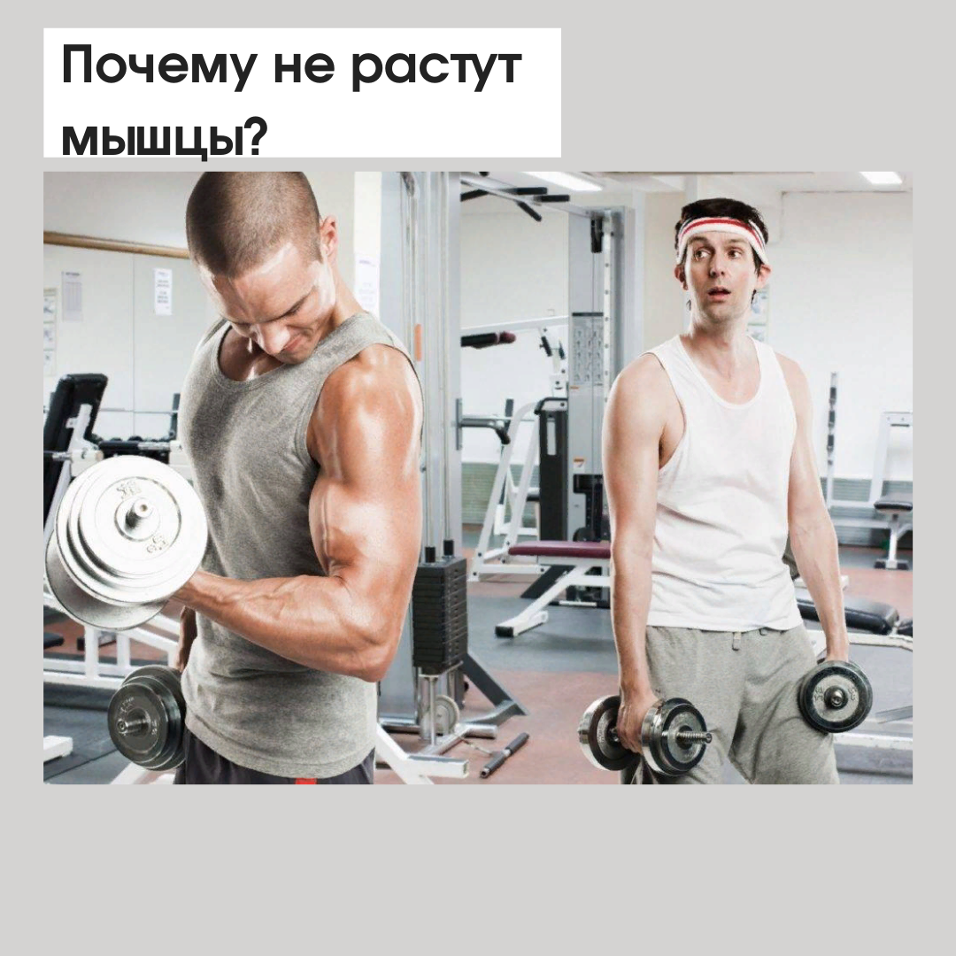 Не растут мышцы