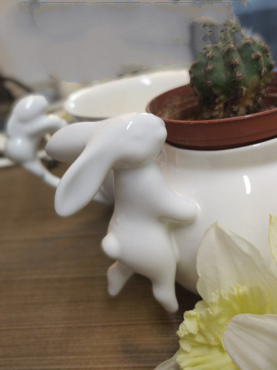 Фото автора. Clay Street