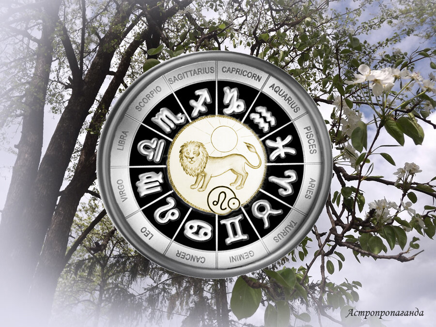 Коллаж Нины Стрелковой.