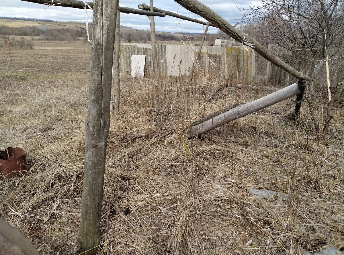 Стойки для винограда упали. Травища кругом