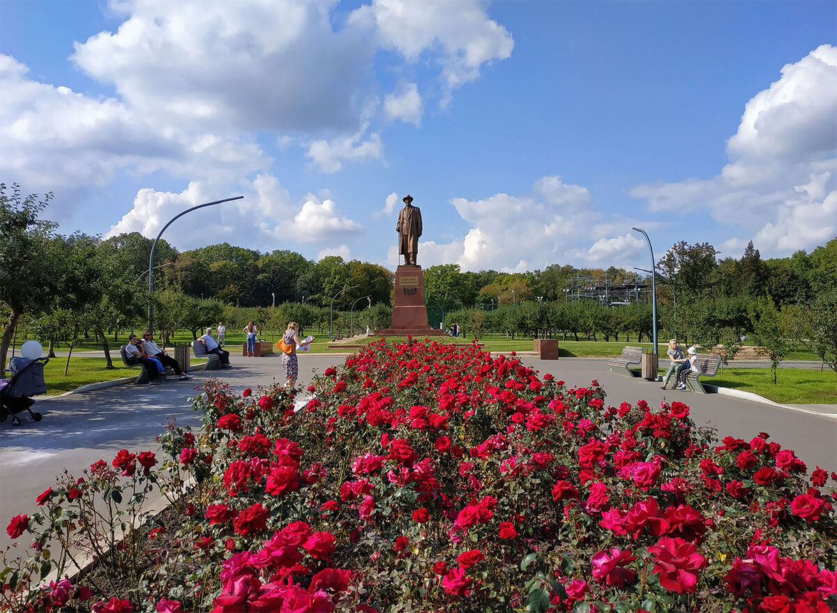 Мичуринский сад фото