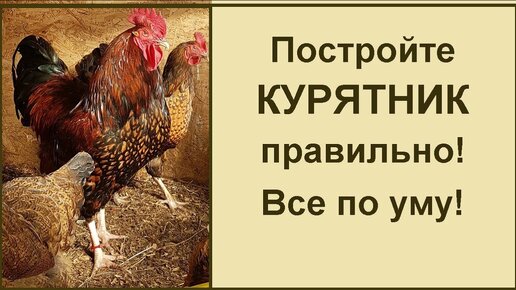 Устройство курятника. Все по уму. Практические советы от соседа.