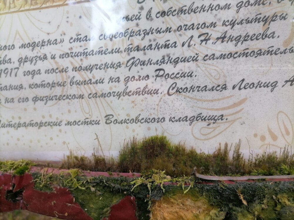 Мох проник даже под стекло стенда 