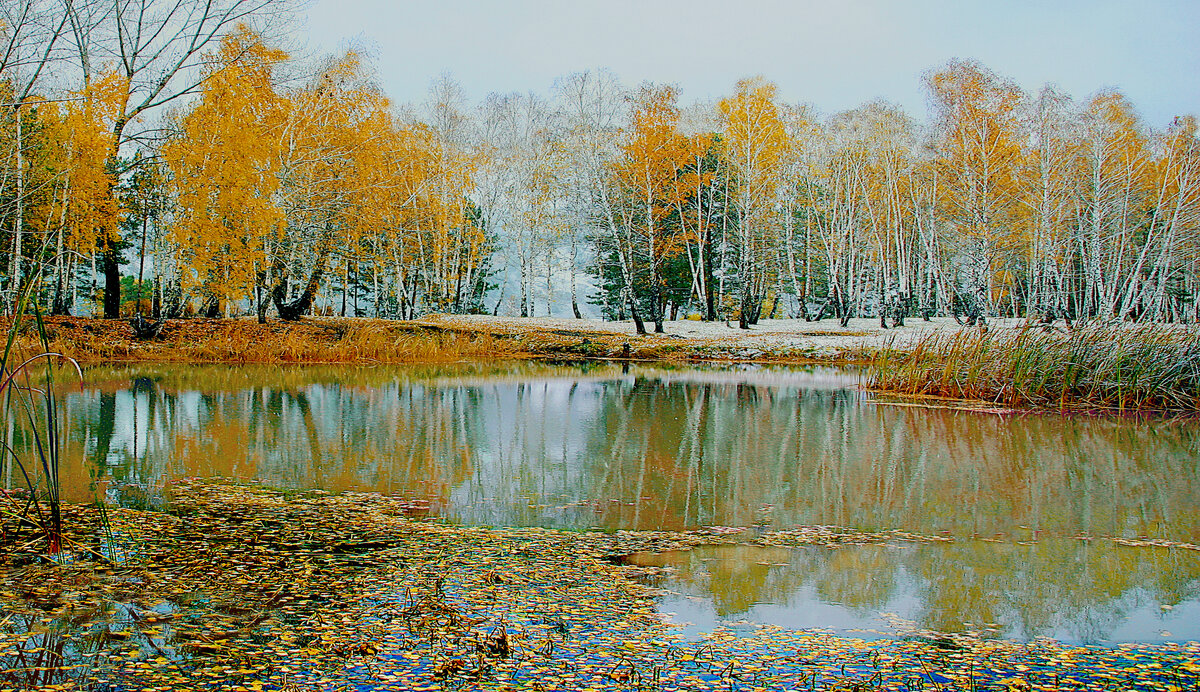 Фотография, стихотворение Василия Глуцкого