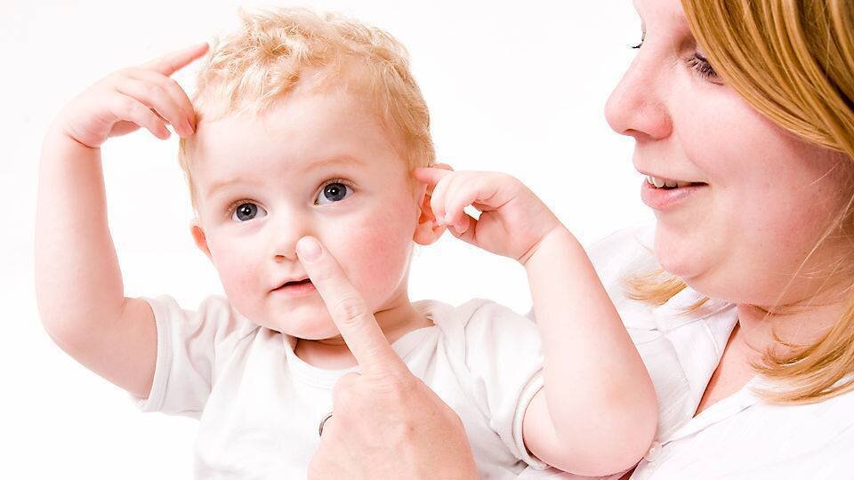 Фото взято из поисковой системы Яндекс